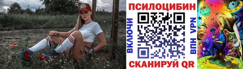 это формула  MEGA вход  Светлый  купить   Галлюциногенные грибы Psilocybine cubensis 